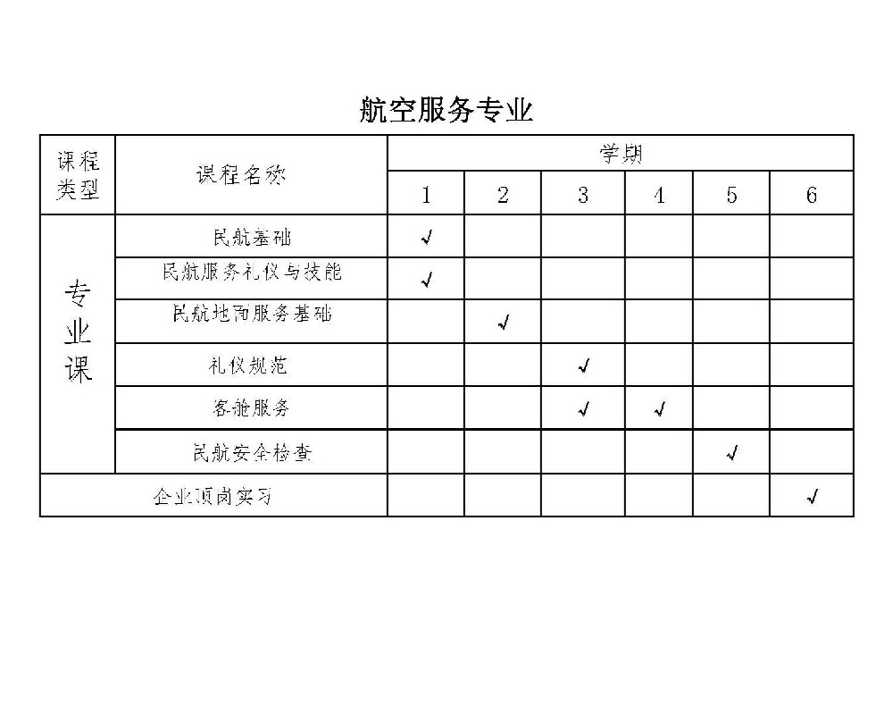 Aviation Service