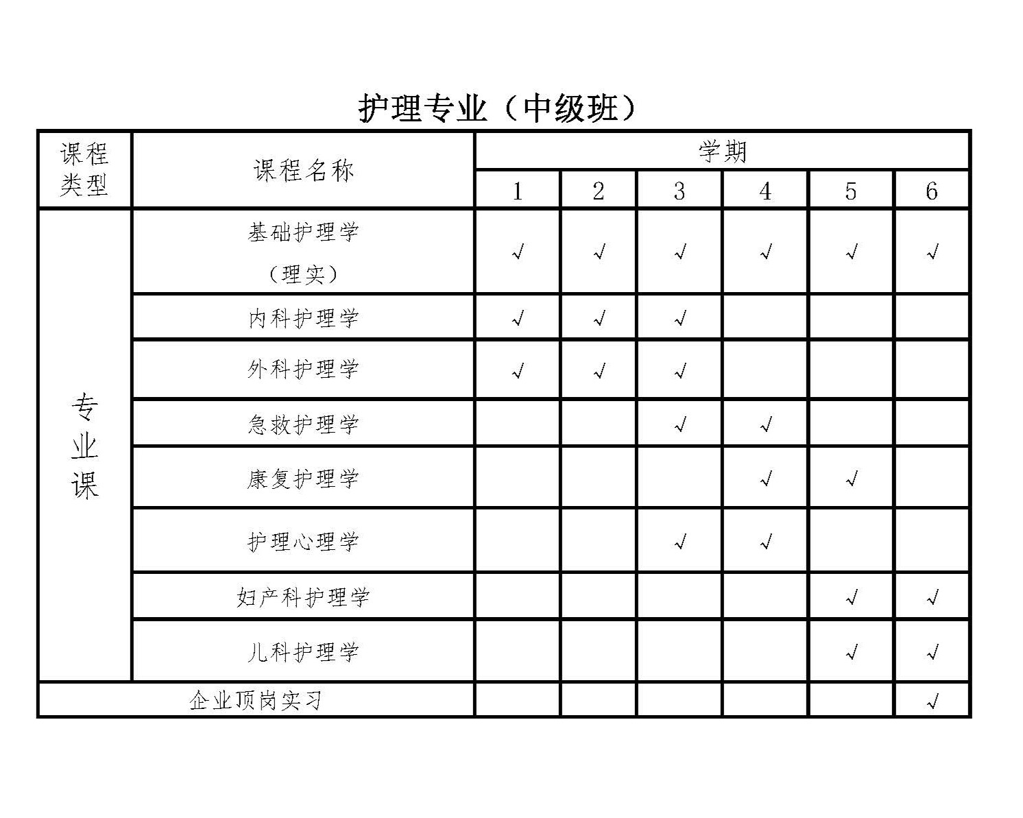 护理中级.jpg