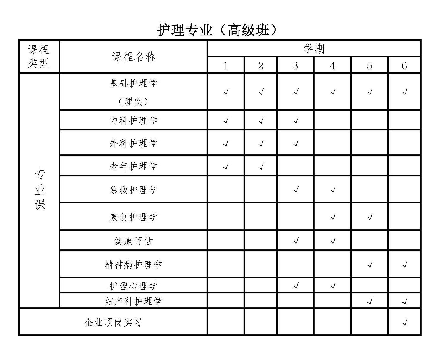 护理高级.jpg